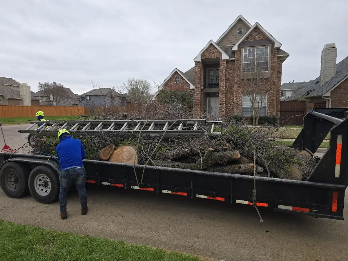 Expert Tree Pest Control with proper safety equipment in Rockmart